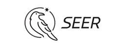 Seer One